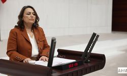 CHP’li Dr. Şevkin’den İçişleri Bakanına Zeydan Karalar Tepkisi