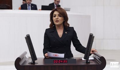 CHP’li Gülcan Kış’tan Torba Yasaya Sert Tepki!