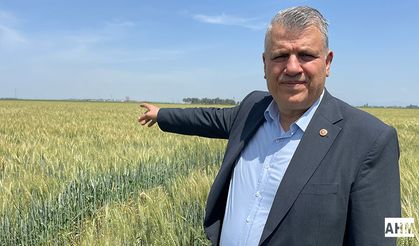 Ayhan Barut'tan Buğday Üreticileri İçin Açık Çağrı