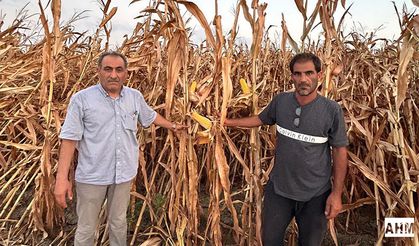 Yaşar Özkan "TARSİM Sigortaları Çiftçinin Yanında Değil"