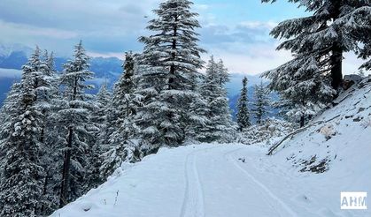 Pozantı ve Akçatekir’de Kar Yağışı Etkili Oldu