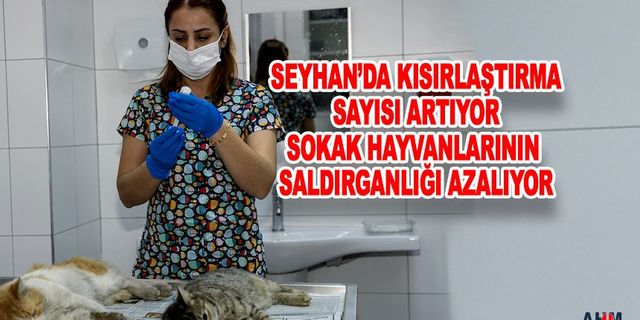 Adana'da Kedi Köpek Kısırlaştırılmasında Büyük Artış!