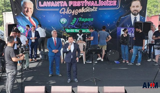 Lavanta Bitkisi Dünya'ya Tanıtılabilecek Mi?