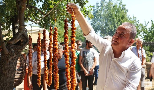 Antalya Gastronomi Festivali ile "Mor Üzüm" Hasadı Başladı
