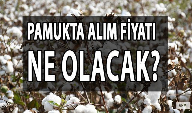 İşte Adanalı Üreticinin Pamukta Alım Fiyatı Beklentisi!