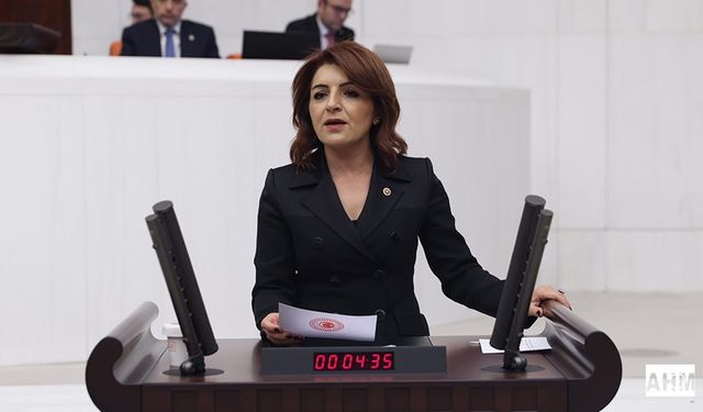 CHP’li Gülcan Kış’tan Torba Yasaya Sert Tepki!