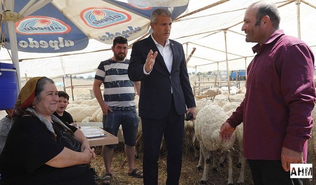 Çukurova Zabıtası, Kurban Satış Yerlerinde Denetimde