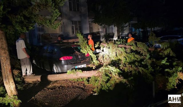 Çukurova Belediyesi Ekipleri Gece Boyunca Görevdeydi