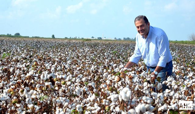 Pamukta Fiyat Ne Olacak? İşte Üreticinin Fiyat Hesabı