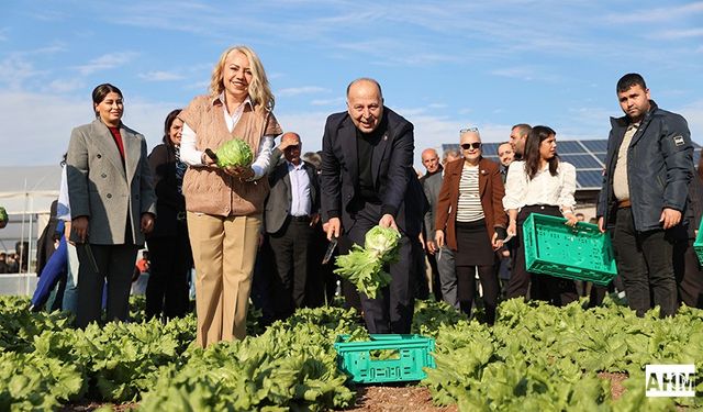 Yüreğir Ekolojik Demo Tarım Alanı Açıldı: 3'ü Bir Serada!