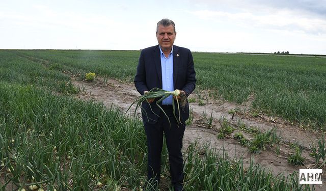 Ayhan Barut "Önce Kuraklık ve Don, Şimdi De Aşırı Yağış, Dolu ve Fırtına Vurdu"