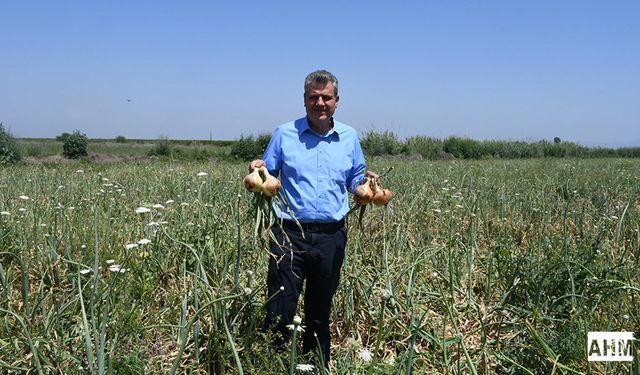 Ayhan Barut "Soğan Üreticilerini İthalat Darbesi Yok Etti"