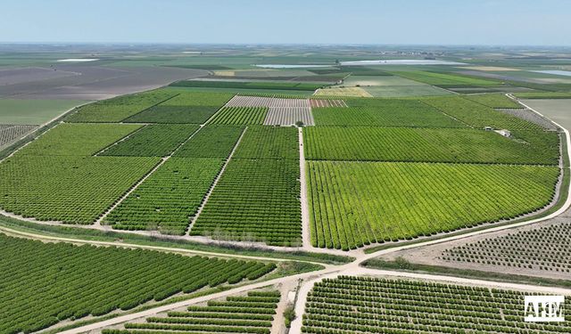 Adana’da 2025 Yılı Sulama Sezonu Başladı