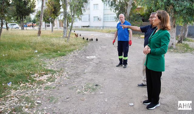 Başkan Oya Tekin'den Gürselpaşa’da Sabah Denetimi