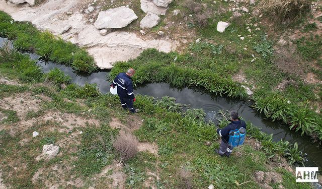 Kurban Bayramı Öncesi Önlemler Artırıldı