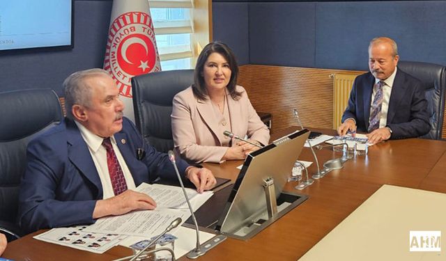 Sunay Karamık, TBMM Dilekçe Komisyonu Başkanlığına Yeniden Seçildi