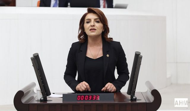 Gülcan Kış “Saray Borçlanıyor, Millet Bedel Ödüyor”