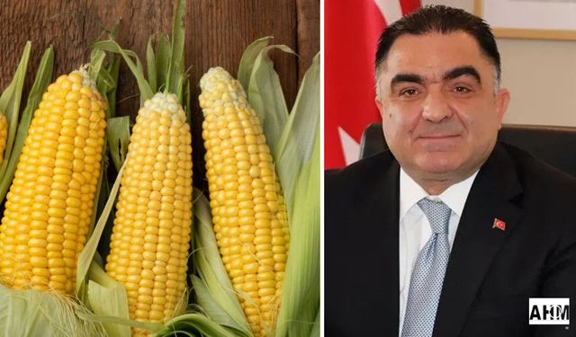 Çiftçiler Birliği Başkanı Mutlu Doğru: “Mısır Hasadına Kaygılı Giriyoruz”