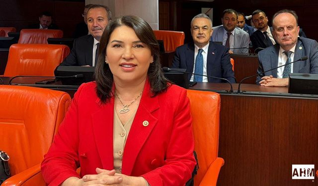 Sunay Karamık: TBMM, Yoğun ve Verimli Yasama Yılını Tamamladı