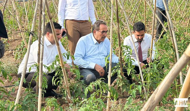 AK Parti Milletvekili Abdullah Doğru’dan Domates Üreticilerine Ziyaret