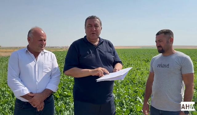 Gürer “Pancarı Stratejik Ürün, Alım Fiyatı Açıklanmalıdır”
