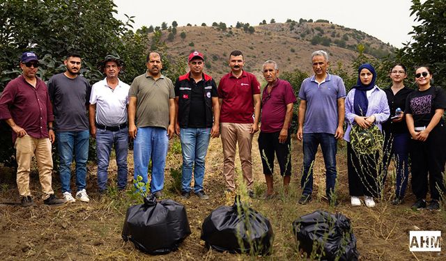 İl Tarım ve Orman Müdürlüğü’nden Çiftçilere “Meyve Sineği” Uyarısı