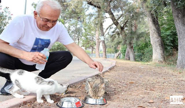 Yusuf Kanlı’dan “Bir Kap Su, Bir Kap Mama” Çağrısı!