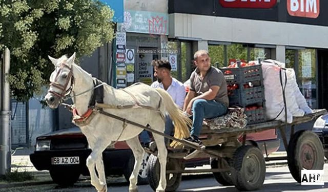 Mazot Cep Yakıyor, At Arabaları Geri Döndü