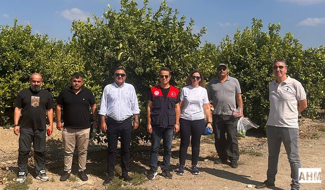 Çiftçiler Birliği Başkanı Mutlu Doğru’dan Narenciye Açıklaması
