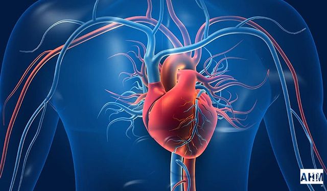 29 Eylül Dünya Kalp Günü Uyarısı: “Kalbinizi Korumak Hayatınızı Korumaktır”