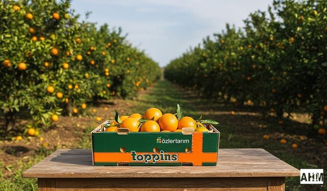 Mondi, Özler Tarım'ın Uzun Mesafe Sevkiyatlarında Gıda İsrafını Azaltıyor