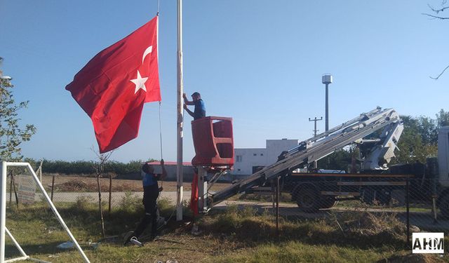 Işıl Işıl Bir Yumurtalık İçin Tüm Adımlar Atılıyor