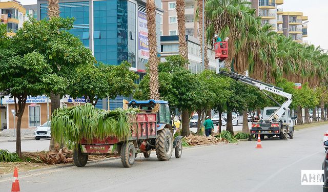 Büyükşehir Belediyesi’nden Aliya İzzetbegoviç Bulvarı’nda Budama Çalışması