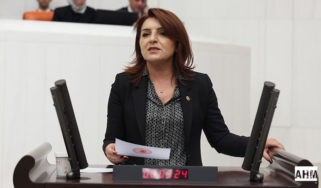 CHP'li Gülcan Kış "Bu Teklif Değil, Tahakküm Yasasıdır"