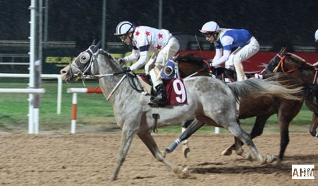 Pozantı Belediye Başkanlığı Koşusunu Kocaefe Kazandı