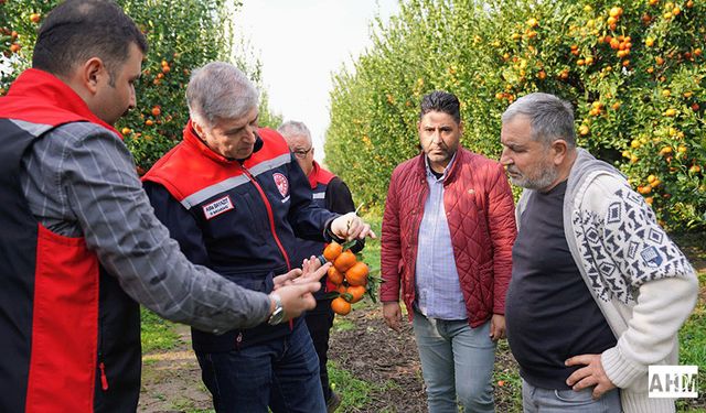 İl Tarım Müdürü Bayazıt’tan Dolu Zararının Görüldüğü Tarım Alanlarında İnceleme