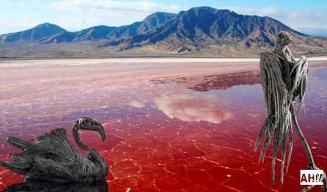 Dünyanın En Ölümcül Noktaları: Güzelliğin Ardındaki Sessiz Tehlike