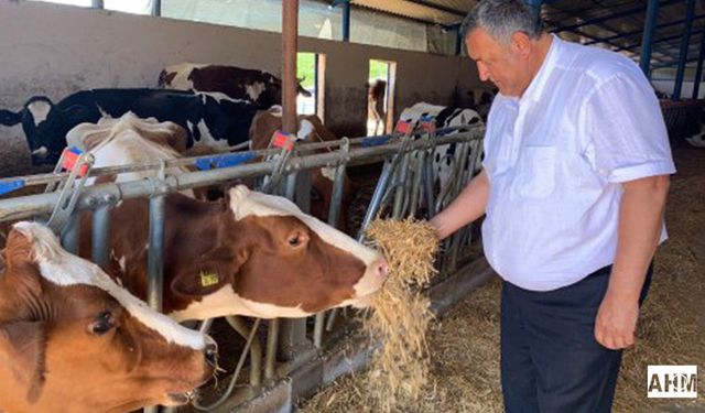 Gürer: “AKP’nin 2026 Yılı Tercihi Çözüm değil, Yine İthalat!”