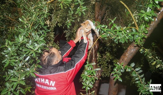 Seyhan Belediyesi Ekipleri Gece Boyunca Görevdeydi