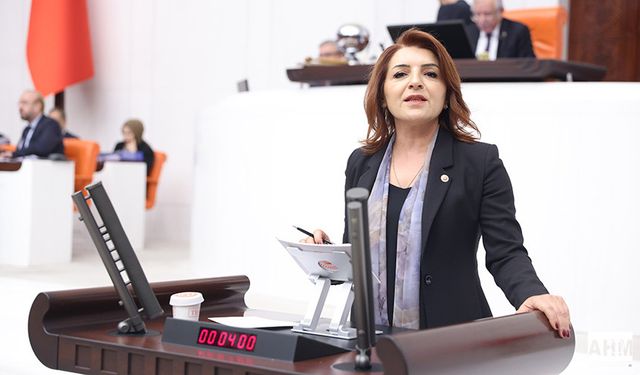 CHP’li Gülcan Kış "Faize 228 Milyar Dolar Bulundu, Emekliye 28 Bin Lira Çok Görüldü"
