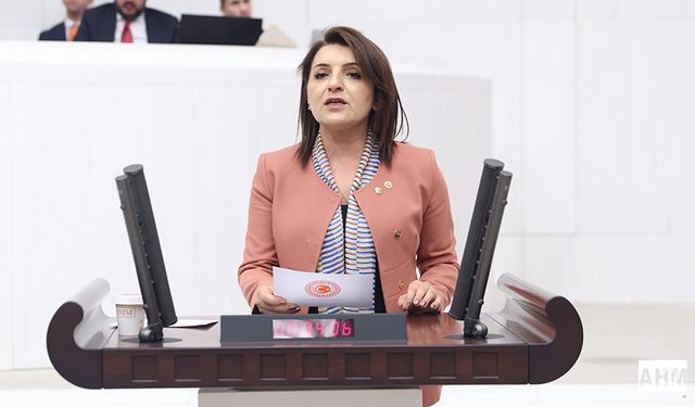 CHP’li Gülcan Kış “Milli Parklar Kanunu, AKP’nin 24 Yıllık Son Satış Kataloğudur”