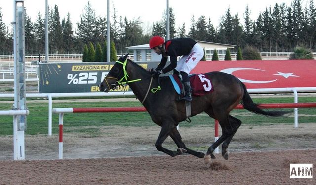 Atlar TSYD İçin Koştu