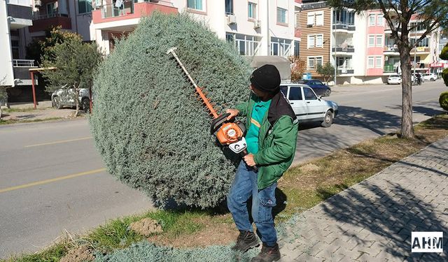 Ceyhan Belediyesi Park ve Bahçeler Müdürlüğü’nden İlçe Genelinde Yoğun Mesai
