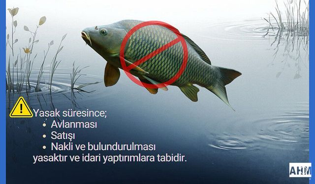 Adana İl Tarım ve Orman Müdürlüğü’nden Sazangiller Av Yasağı Duyurusu