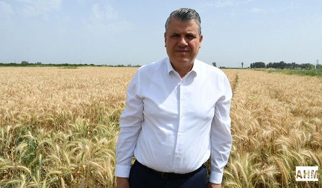 Ayhan Barut’tan Buğdayda Alım Fiyatı Çağrısı