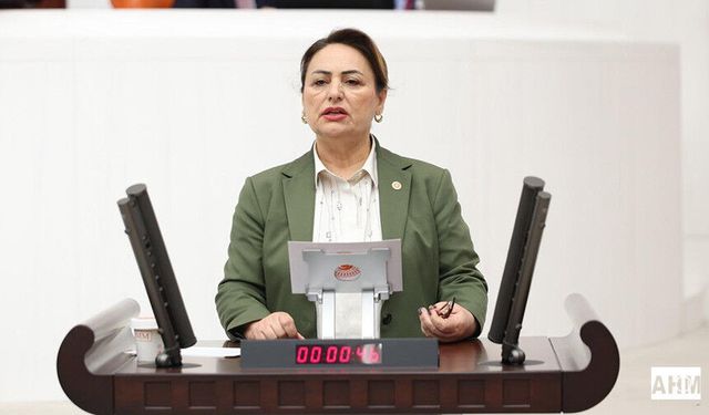 Müzeyyen Şevkin “Polislerimizin Sorunları Görmezden Gelinemez”