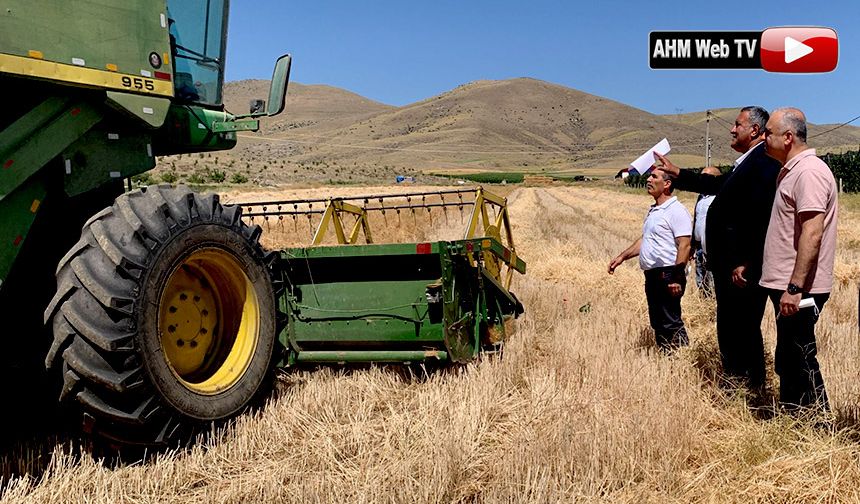 Buğday'da "Hasat" Girdilerde "Mezat"!