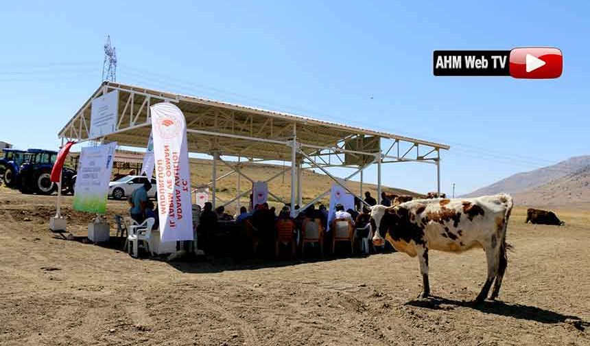 "Hayvan Refahı" İçin Gölgelik ve Suluk Yapıldı