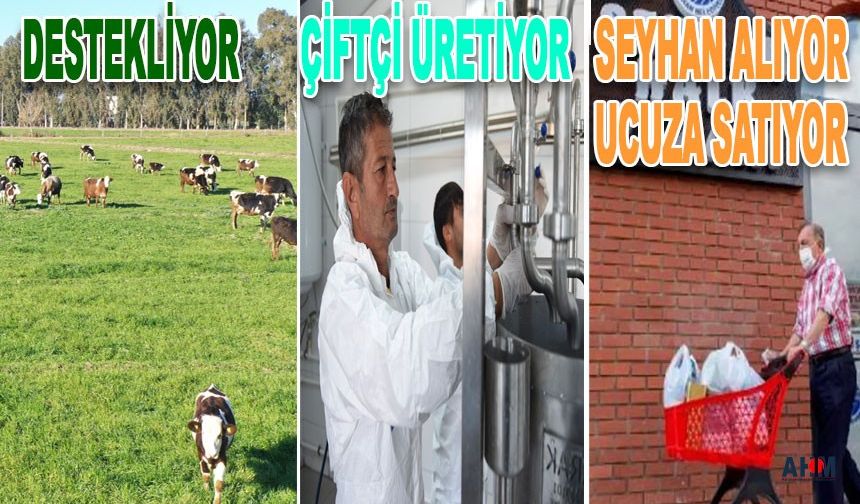 Seyhan Destekliyor, Çiftçi Üretiyor, Vatandaş Ucuza Alıp Kazanıyor!