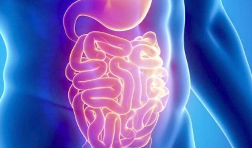Cumhurbaşkanı Erdoğan'ın hastalığı Gastroenterit nedir?